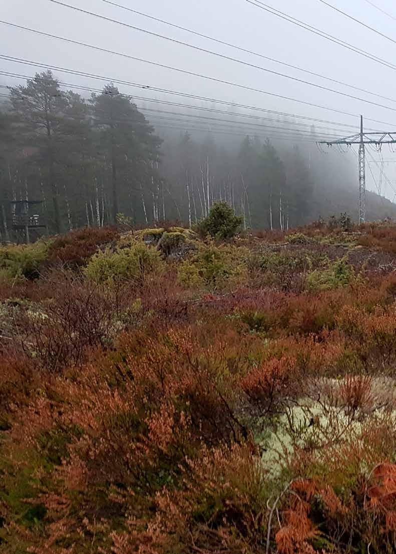 Foto: Lisbeth Løchen, HOVUDMÅL 2: SKAL FREMJE EIN SAMFUNNSØKONOMISK EFFEKTIV PRODUKSJON, OVERFØRING, OMSETNAD OG BRUK AV ENERGI 4.2.1 SAMLA VURDERING Nye teknologiar som vert utvikla, opnar for å dekkje energibehovet i samfunnet på nye måtar.