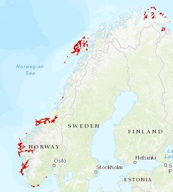 Planlagte tiltak De røde strekene indikerer lykter