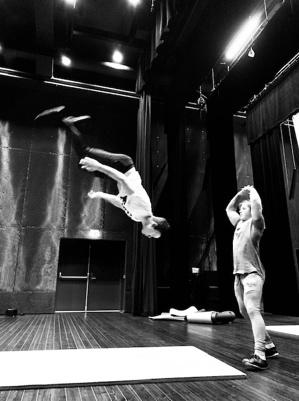 Målgruppa er barn og unge, og innhaldsmessig består prosjektet av undervisning og formidling av den akrobatiske sida av folkedansen.