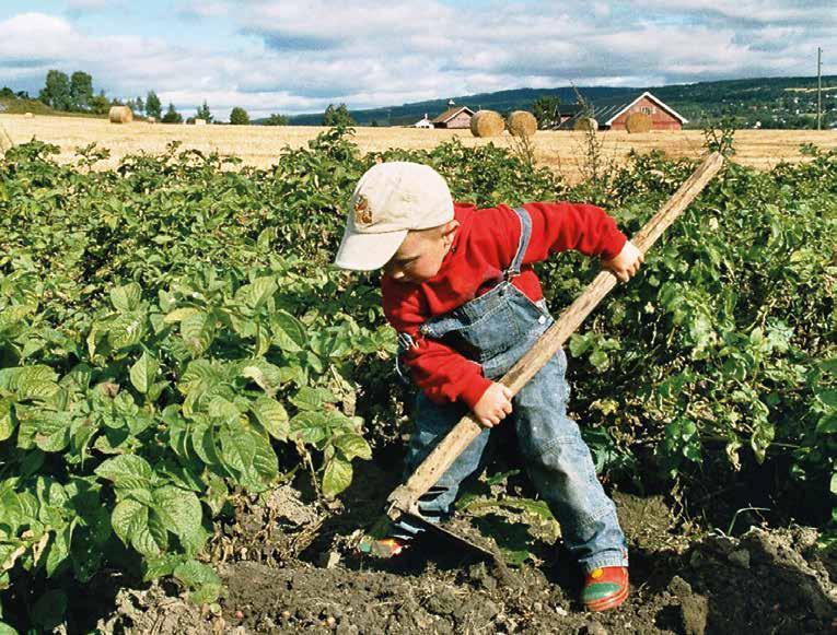 LANDBRUKETS FAGRÅD HADELAND Velkommen som