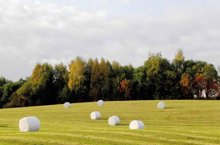 Felleskjøpet Agri, avd. Lunner Tlf. 72 50 50 50/ 99 27 67 83 (butikk)/ 97 58 16 61 (kornmottak). Nettadresse: www.fk.no. Arbeidsfelt: Kornmottak. Butikk og lagerutsalg.