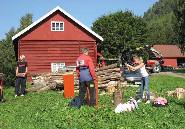 4. Barne- og ungdomsorganisasjoner innen landbruket på Hadeland Organisasjon Kontaktperson Tlf. E-postadresse Tingelstad 4H Rønnoug T. Øverli 93 86 02 24 knutstad77@gmail.