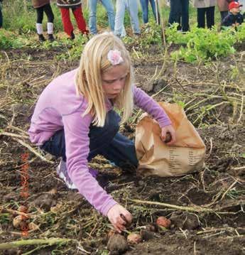 til lønn og arbeidsgiveravgift for avløsere over 15 år, og for kjøp av avløsertjenester fra sjølstendige næringsdrivende. Tilskuddet / refusjonen kan tidligst omsøkes 1.