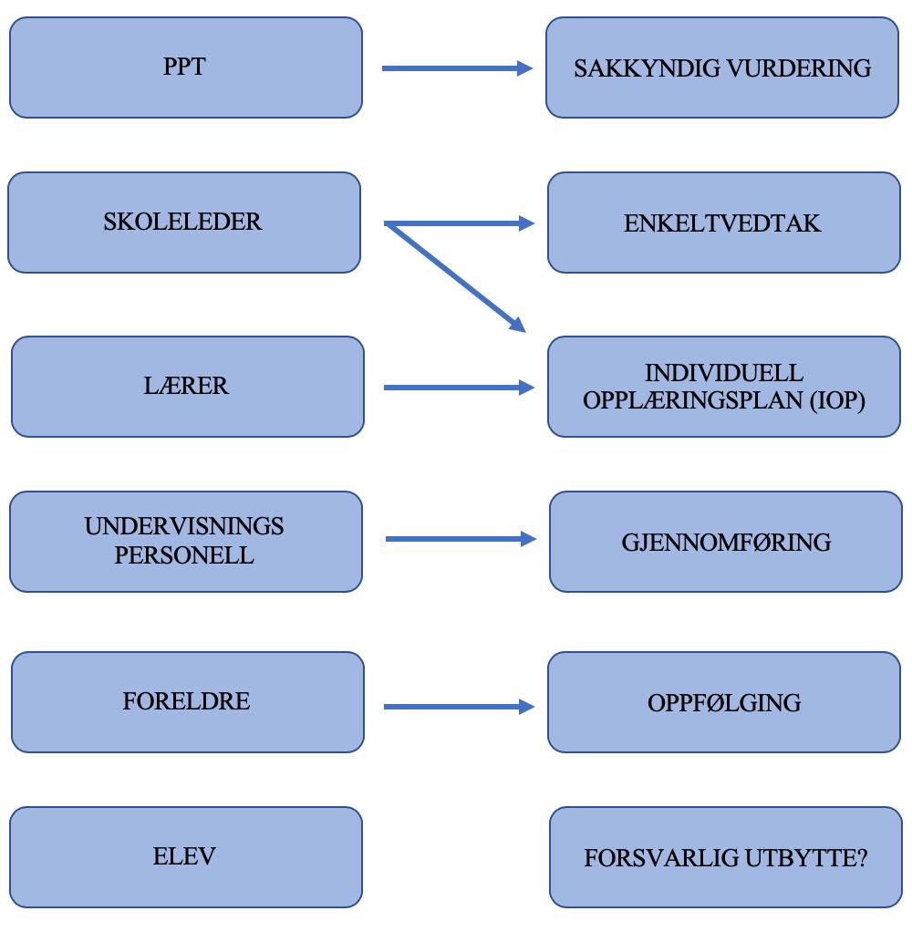 Figur 9. Ulike ledd som har innvirkning på elevens læringsutbytte. PPT er ansvarlig for utformingen av den sakkyndige vurderingen.