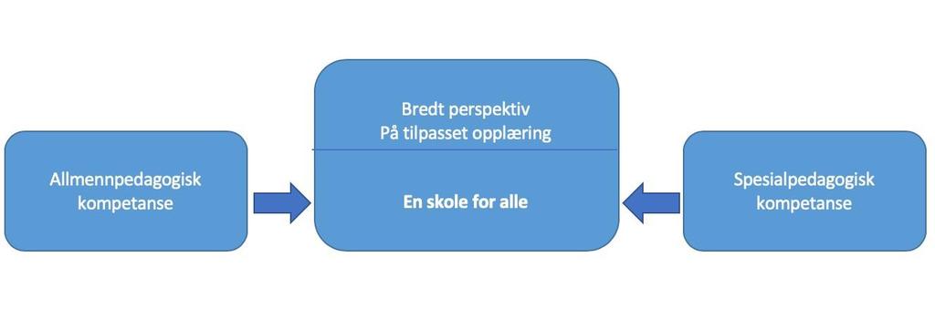 Figur 3. Samling av kompetanser for en skole for alle (Haustätter, 2012, s. 31).