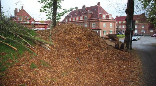 I jubileumsboken Landsbyen i byen står det feilaktig at kinoen ble nedlagt i 1964. 11. Ebenezer Howard 1 4 5.