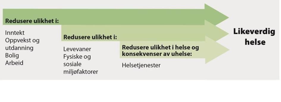 Vedlegg: Oversiktsdokument folkehelse 2020 Kortversjon Folkehelseloven pålegger kommunen å utarbeide helseoversikter.