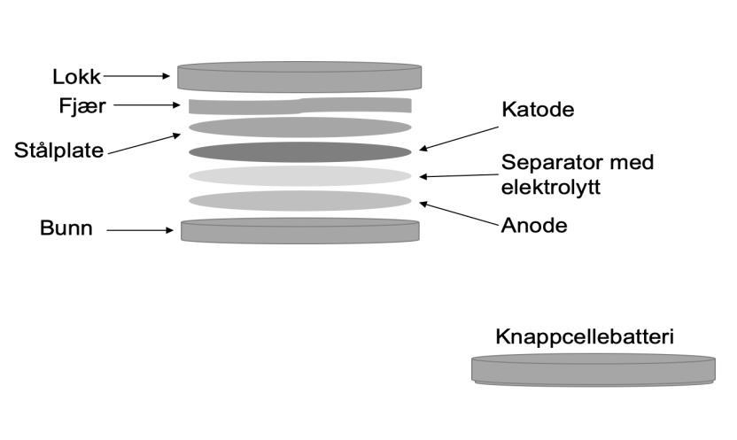 Be elevene sette navn på katode, anode, og elektrolytt. OPPGAVE 2: Her er et bilde av et knappcellebatteri. Er det noen forskjell på dette batteriet og batteriet over?