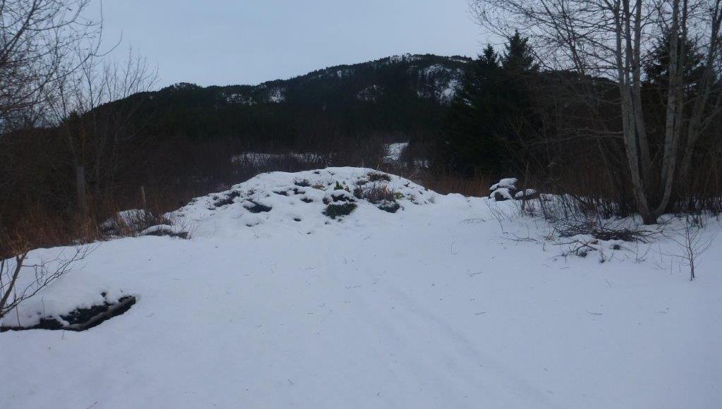 Prestegårdslåven, Åfjord Miljøgeologisk rapport med tiltaksplan multiconsult.