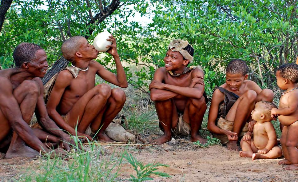 Menneskeheten består av to grener: befolkningen i Sør-Afrika, som kalles san, her representert ved en sanfamilie, og alle vi andre.