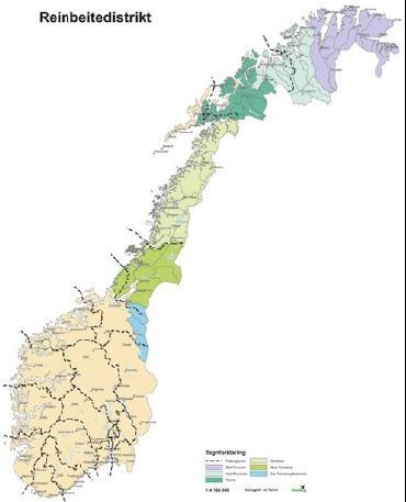 Samisk reinbeite i Norge er delt i 6 områder, som bare delvis følger fylkesgrensene. Inndelinga i omlag 80 reinbeitedistrikt.