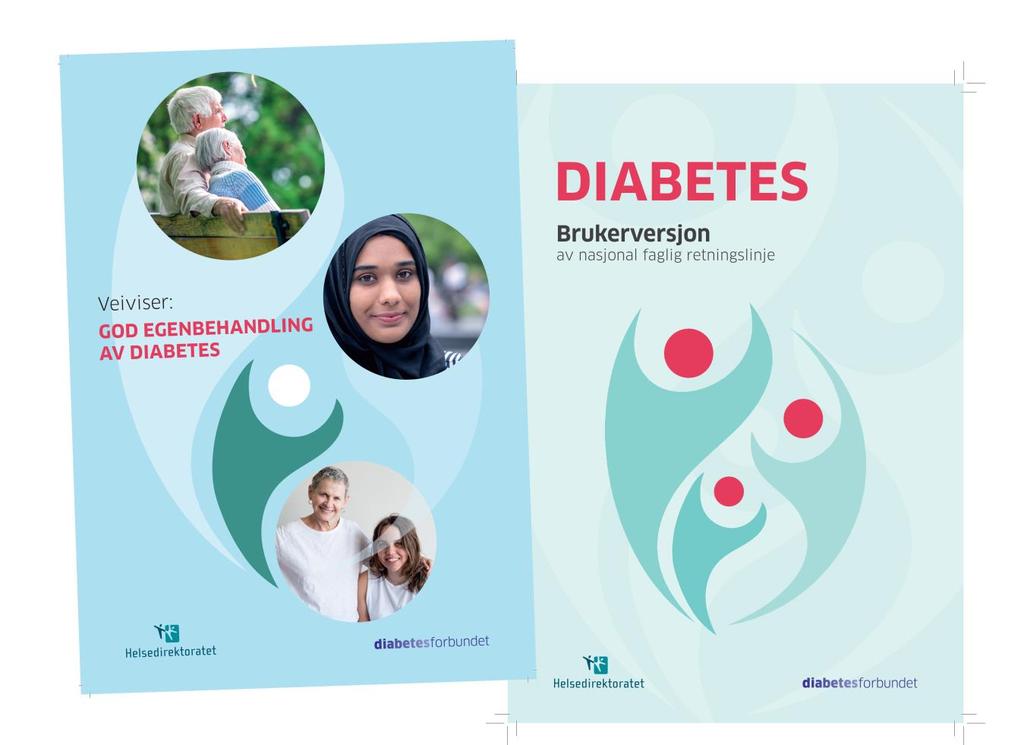 M Å L O G M Å L G R U P P E OPPDRAGET er å lage et e- læringskurs basert på brosjyrene Veiviser for god egenbehandling av diabetes og Brukerversjon av nasjonal faglig retningslinje.