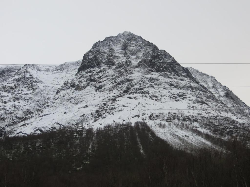 Figur 28 Oversiktsbilde som viser topografiske trekk i siden, arealet ved fjellfoten og videre ned i