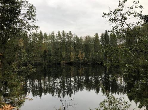 skogen og skjermet fra omgivelsene. 2.