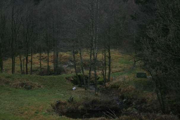 7 Forstyrra miljø (veier, grøfter og lignende) bør ikke såes til med fremment plantemateriale. Vurdering av Usikkerhet Registrerings- og verdiusikkerhet.