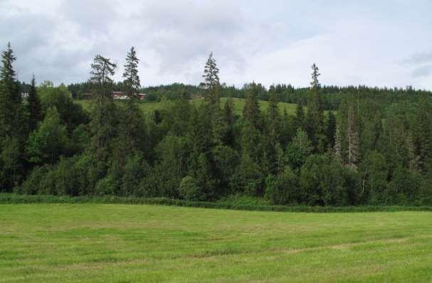 10 samme. Det er planen å føre driftsvannet i nedgravde rør hele veien fra inntaket og ned til stasjonen. En bekk skal overføres til inntaket via nedgravde rør.