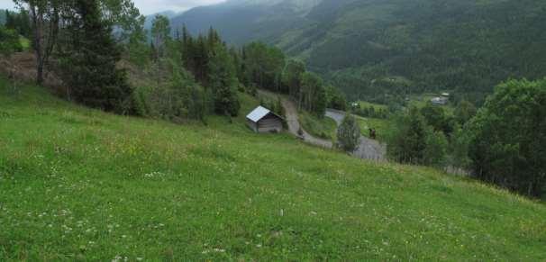 41 Bergrunnen her består av sedimentære bergarter fra kambro-ordovicisk alder og består av mørk, grå sandstein, konglomerat og fyllitt.