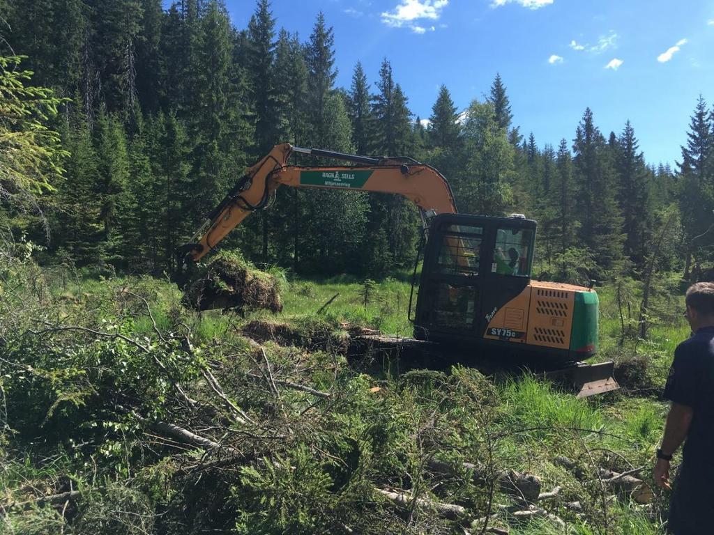 Figur 5. Etablering av demning ved bruk av gravemaskin. Skjeggerudsetra, 26.06.2018. II.