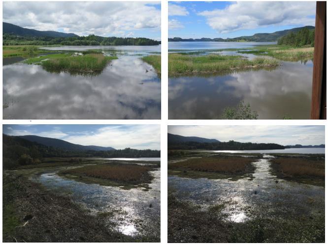 Figur 14. Øverst: sommer 2017 før ferdigstilt graving, men med høy vannstand er det tydelig åpent vannspeil. Foto: Erlend Skutberg, SNO, Vassbukta 2017.