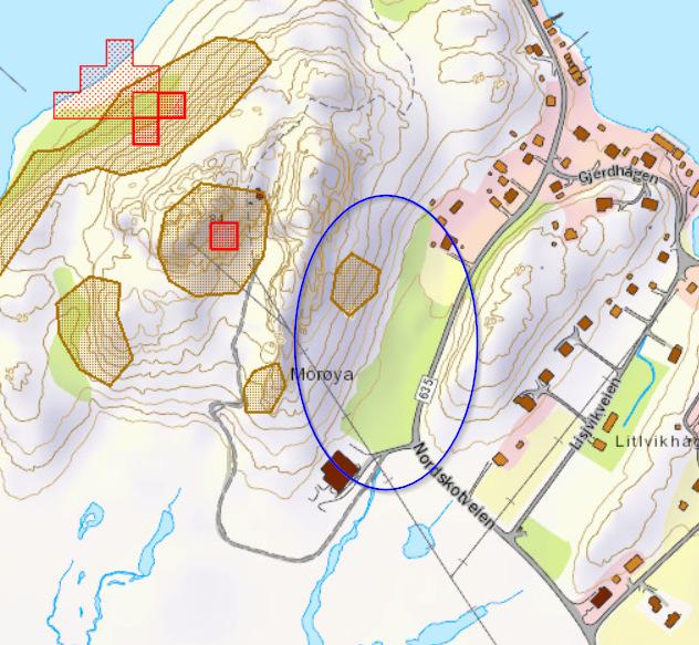 Videre er det registrert aktsomhetsområde for snøskred og steinsprang på deler søndre del av planområdet, jf. figur nedenfor. Figur 10: Aktsomsområde for snøskred og steinsprang (brun polygon).