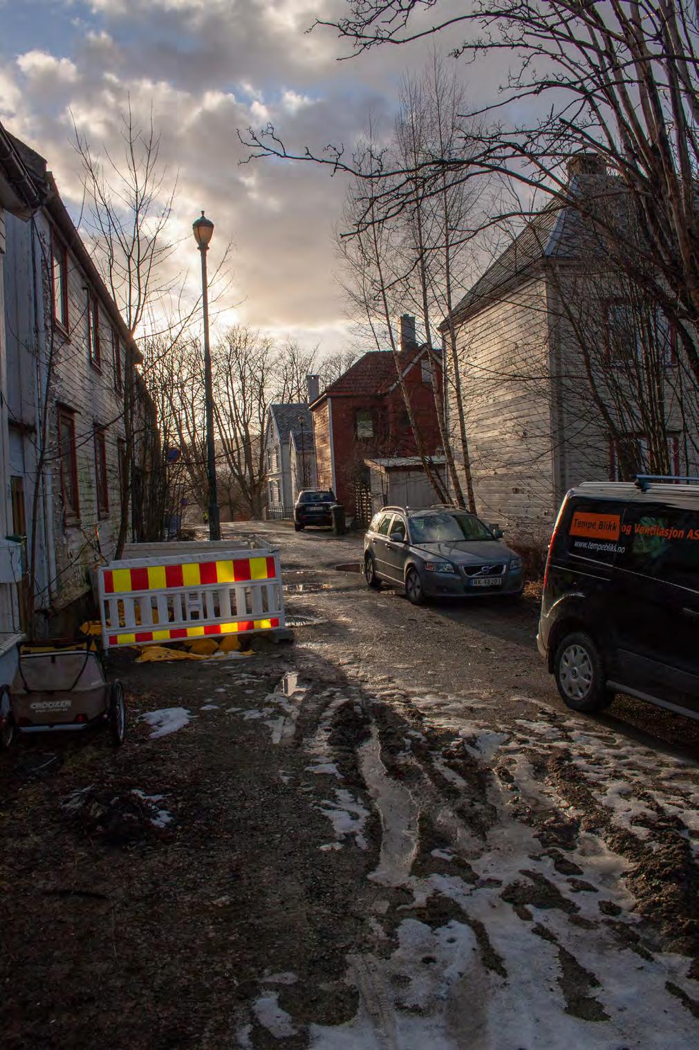 Spesielt forholdet til Høgskoleveien og parkene vest for tomten har et stort potensiale for å kunne gi rikdom inn i prosjektet.