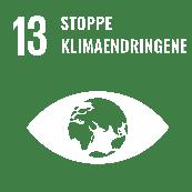 Stoppe klimaendringene: Handle umiddelbart for å bekjempe klimaendringene og konsekvensene av dem Hovedmål 13.