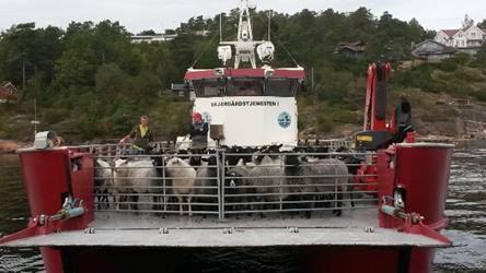 Beiting av verdifulle jordbrukslandskap i utmark 7 (øyer og naturvernområder langs kysten) Miljøtema: Kulturlandskap, RMP-forskriften kapittel 2