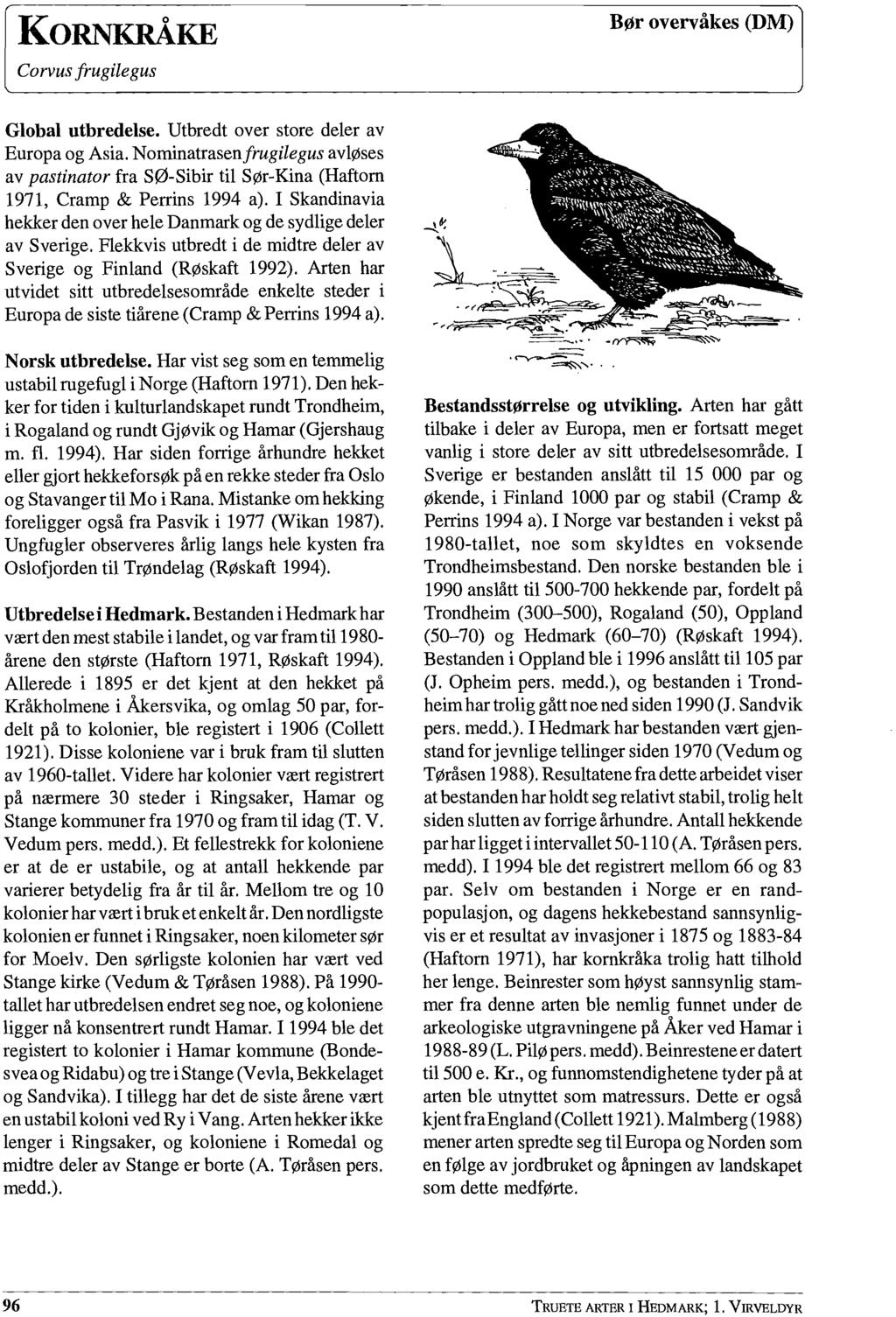 KORNKRÅKE Corvus jrugilegus Bør overvåkes (DM) Global utbredelse. Utbredt over store deler av Europa og Asia.