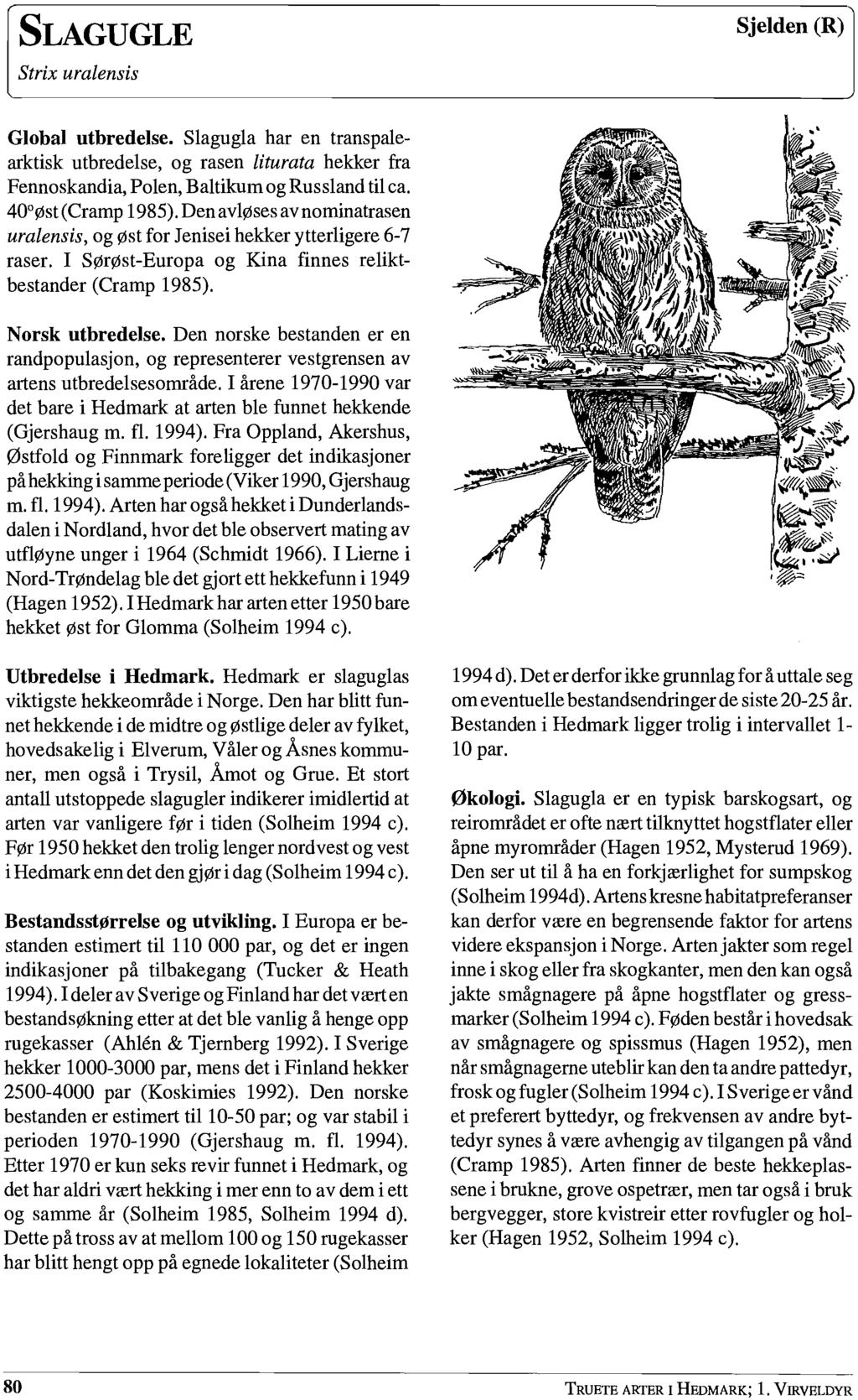 SLAGUGLE Strix uralensis Sjelden (R) Global utbredelse. Slagugla har en transpalearktisk utbredelse, og rasen liturata hekker fra Fennoskandia, Polen, Baltikum og Russland til ca. 40 øst (Cramp 1985).
