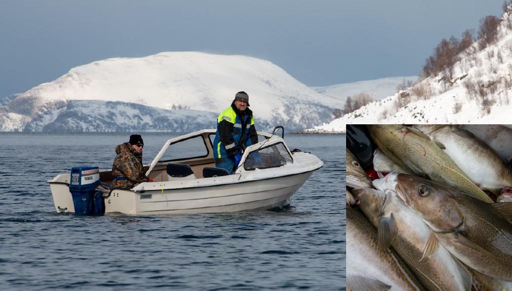 #022 Sandlands, Bergs- og Langfjorden sjøområde (svært viktig friluftslivsområde) Bilde fra Frakkfjorden bygdelag med eksempel på matauk på sjøen Sandland, Bergs- og Langfjorden sjøområde Loppa