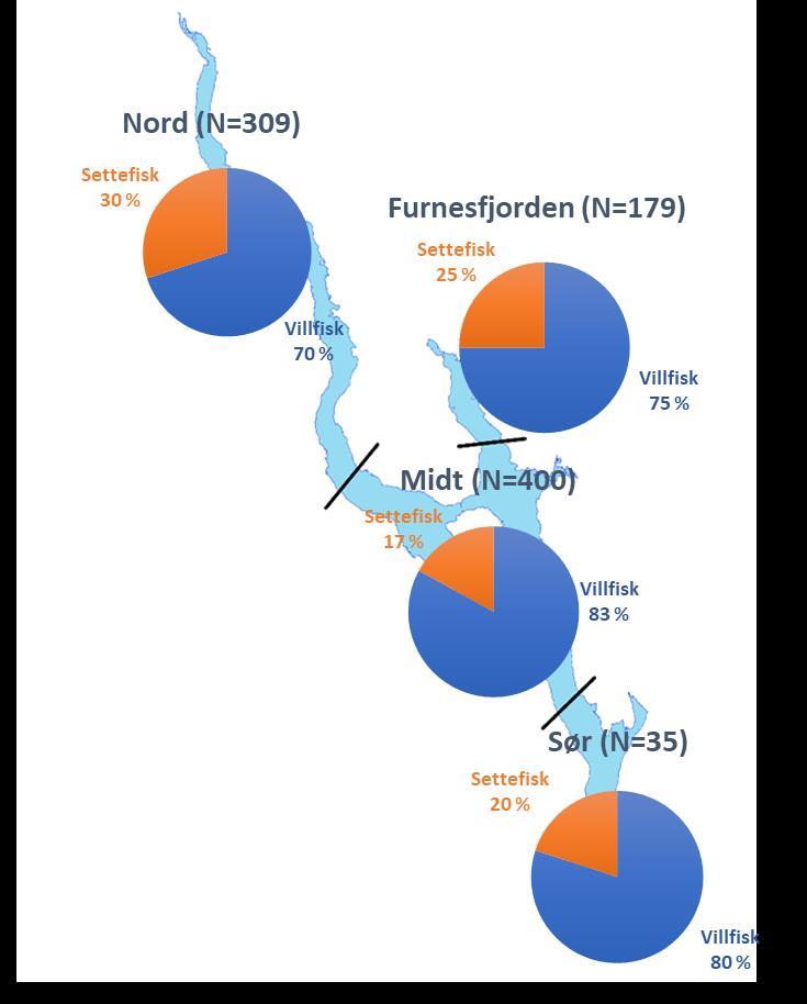 Side: 7/9 Ørret under 50 cm (N=389) Settefisk 17 % Ørret lik eller over 50 cm (N=634) Settefisk 31 % Villfisk 83 % Villfisk 69 % Figur 6: Fordeling villfisk/settefisk for ørret under og over 50 cm