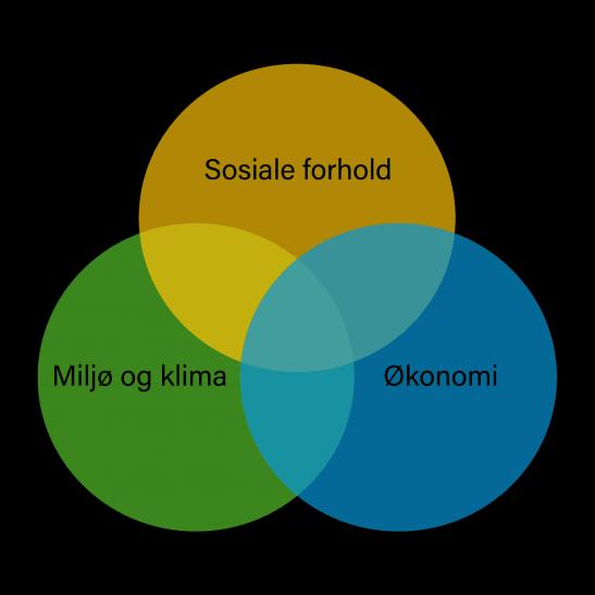 Det mest sentrale signalet fra nasjonale myndigheter er forventningen om at FNs 17 bærekraftmål skal ligge til grunn for den