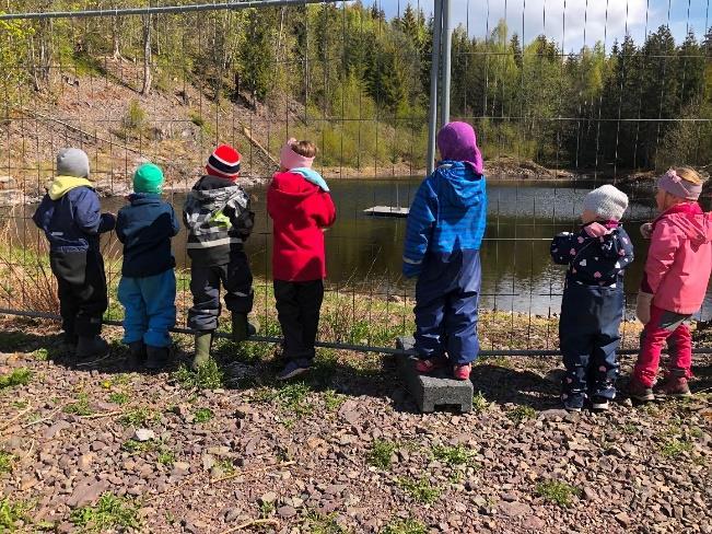 Barna opplever glede og sammenhenger i naturen, og dette bidrar igjen til at de lærer viktigheten av å ta vare på den. Vi er ute i all slags vær, og har ulike aktiviteter til hver årstid.