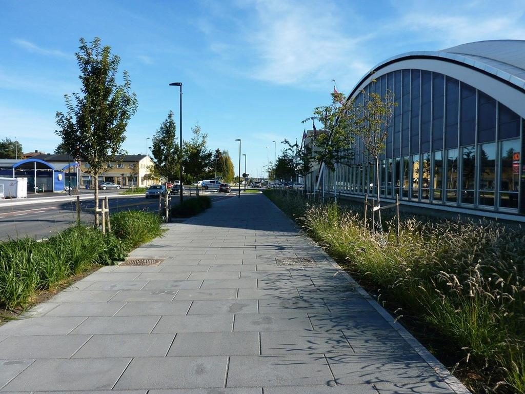 Figur 7 Langs Førdehuset burde rabatten langs veg gjerast brei nok til å etablera gatere. Gatetre fungera fint som skilje mellom trafikkareal for bilar og mjuke trafikkantar.