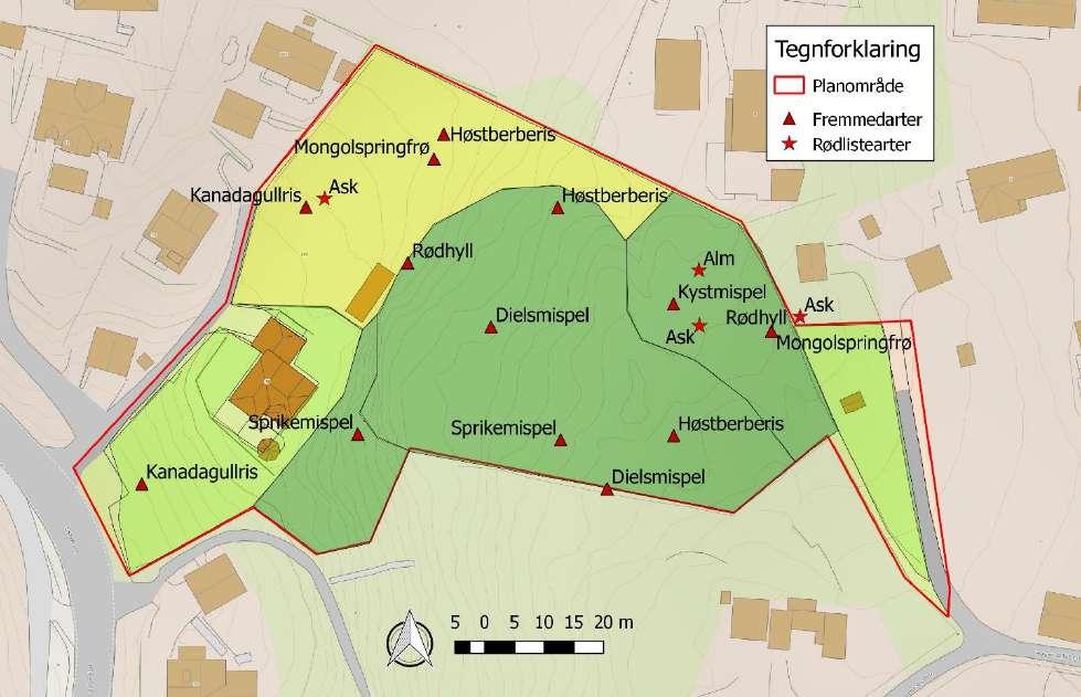 med omkrets i brysthøyde. Figur 4.