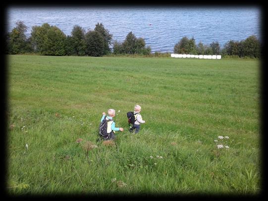 4.1. Leik Barnehagen skal fysisk og organisatorisk leggje til rette for variert leik. Barnehageinnhaldet bør inspirere til fantasi, skaparglede og livsutfalding.