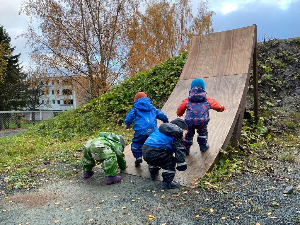 OVERGANGER - fra hjem til barnehage, fra småbarn til storbarn og fra storbarn til skole/sfo.