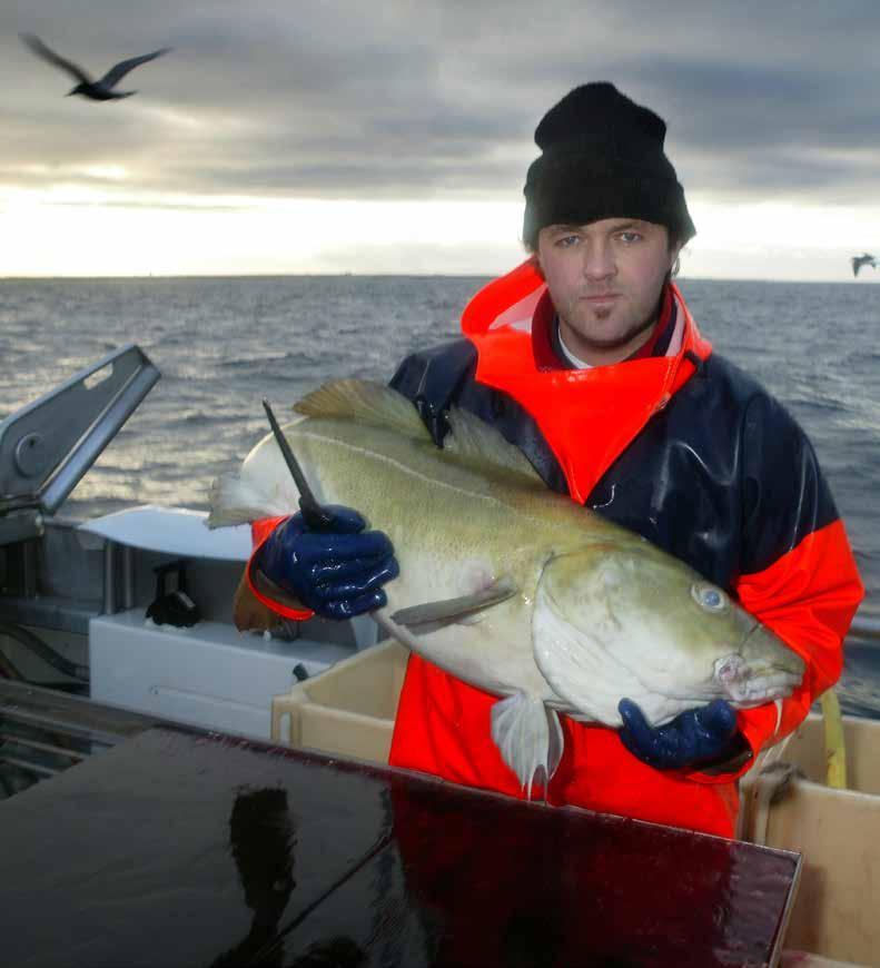 Viktigheten av god håndtering av