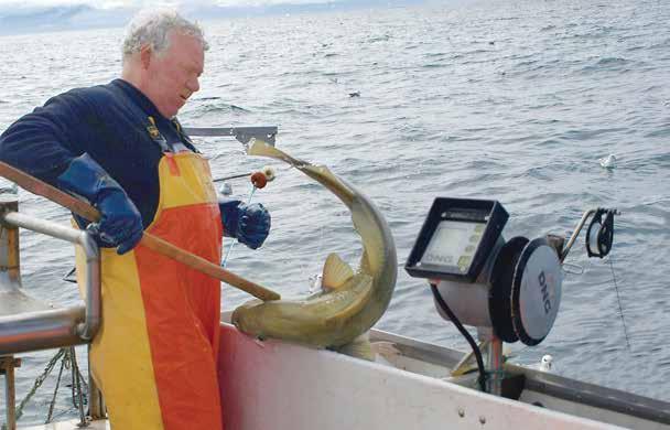 Viktigheten av god håndtering av fersk fisk om bord på fiskefartøy Matproduksjon, der bearbeiding av fisk og skaldyr er vesentlig, er blant av de viktigste næringene i de nordiske land.