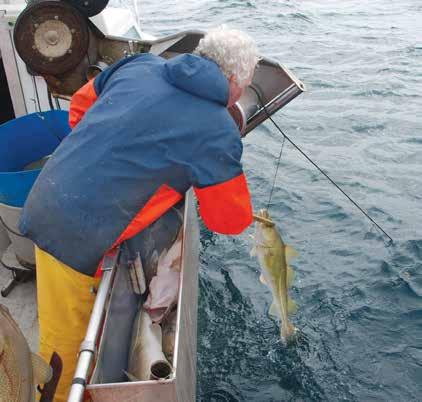 Fiskens kjemiske sammensetning varierer avhengig av art, årstid, fiskens alder og andre faktorer.