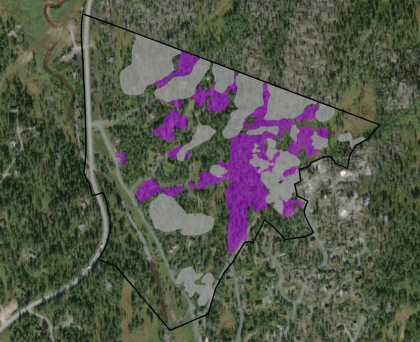 Figur 20: Svart linje = planavgrensing, grå skravur = bart fjell, lilla kravur = skogområder som planleggjast nedbygd.
