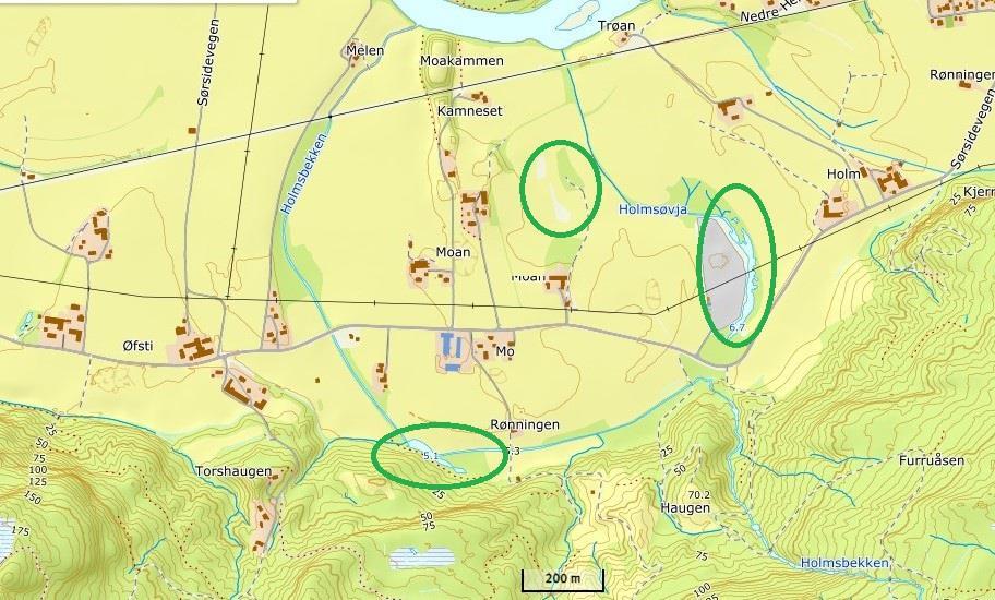 Potensiale for restaurering. Øfstihølan, Holmsbekken Rester av gammelt elveløp og utvidelse av Holmsbekken. Rasteplass for andefugl, rikt insektliv, jaktområde for flaggermus.