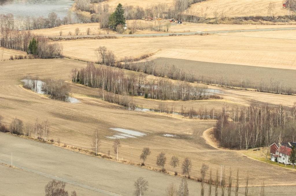 Øfstihølan (nederst), dammer og