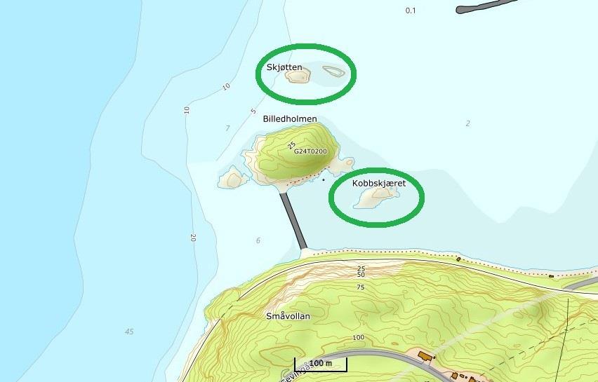 Søndre Skarvholmen, Åsenfjorden Hekkeplass for sjøfugl, ikke vernet. Inngår i årlig tellinger av hekkende sjøfugl i indre Trondheimsfjord, utført av SNO.