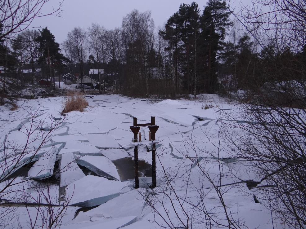 5 vannbasseng på ca. 70 x 30 meter, med ph-verdi 7,0 og med betydelige mengder vanlig (buttsnutet) frosk, samt mange observerte storsalamandre og småsalamandre.