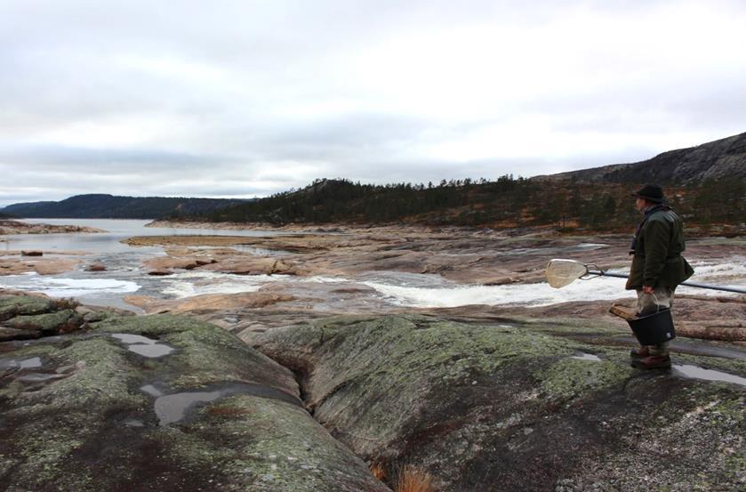 1776 Fiskeundersøkelser i Juvassmagasinet og Sandvatnet i