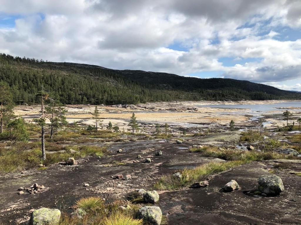 2 Områdebeskrivelse 2.1 Beliggenhet og reguleringer Juvassmagasinet og Sandvatnet ligger i Åseral kommune i nordøstlige deler av Mandalsvassdraget (figur 1).