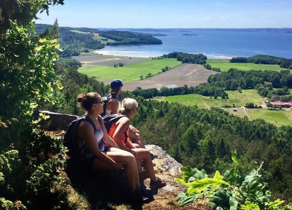 Mangfoldige Moss - Skapende Varmere Grønnere Moss skal ha plass til alle mennesker og ulikhetene våre skal være en ressurs. Moss visjon er Mangfoldige Moss Skapende Varmere Grønnere.