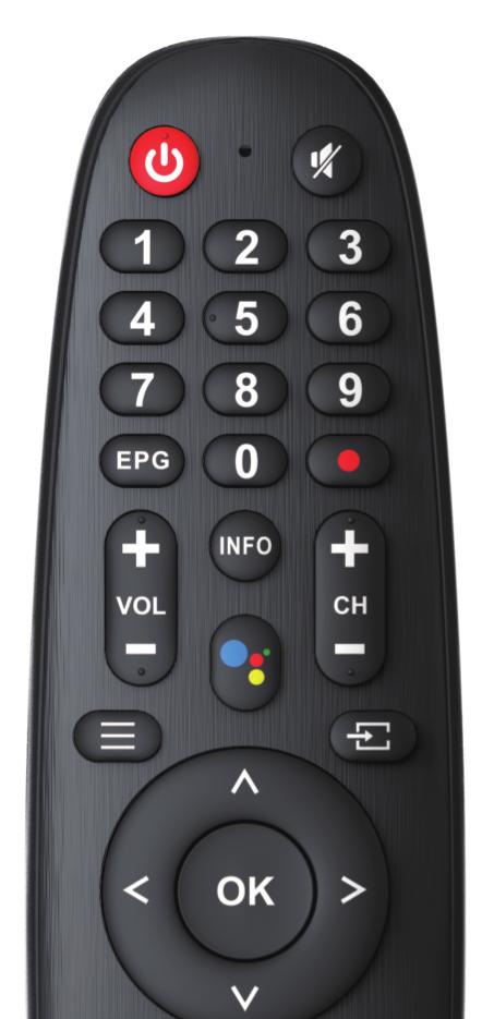 REMOTE CONTROL OVERVIEW EPG INFO Switches the TVbetween on and standby mode Microphone hole Mute or restore TV sound Figures 0-9 are used to directly input channel number Press to display Electronic