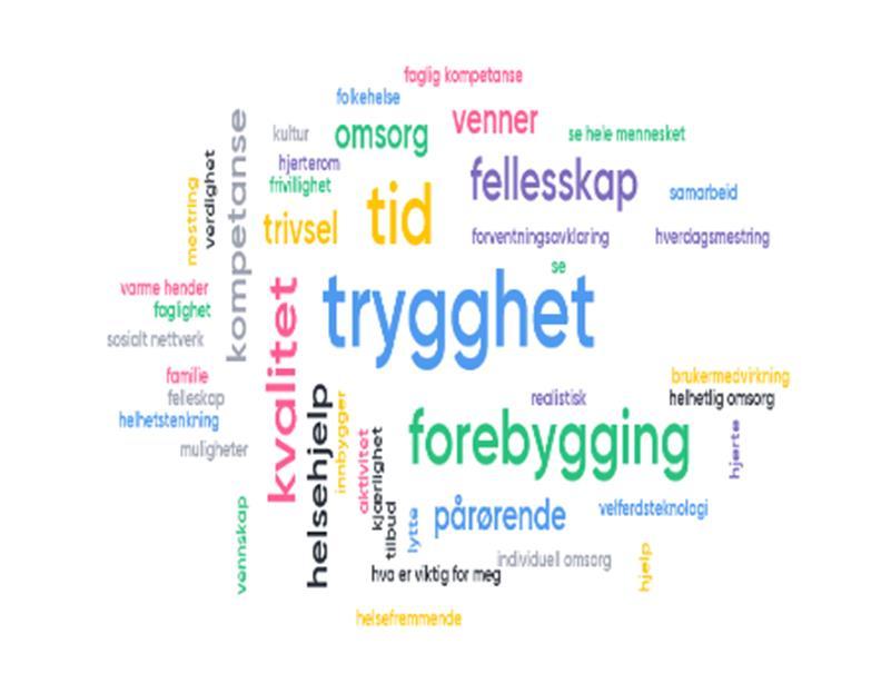 3 Visjon og mål 3.1Visjon Visjonen er utarbeidet på bakgrunn av ordskyen ovenfor.